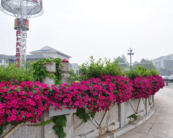 立體組合花盆